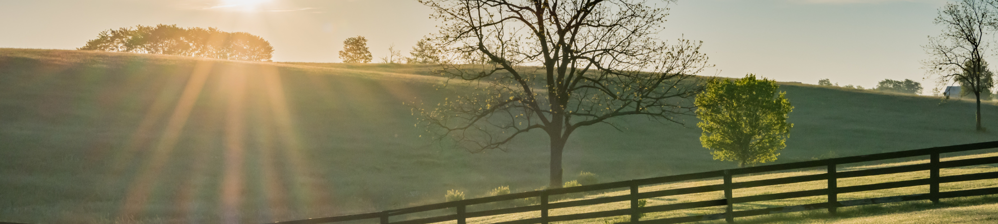 wlp-banner-images-2000x450 (3)