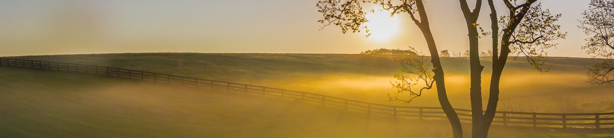 wlp-banner-images-2000x450 (4)